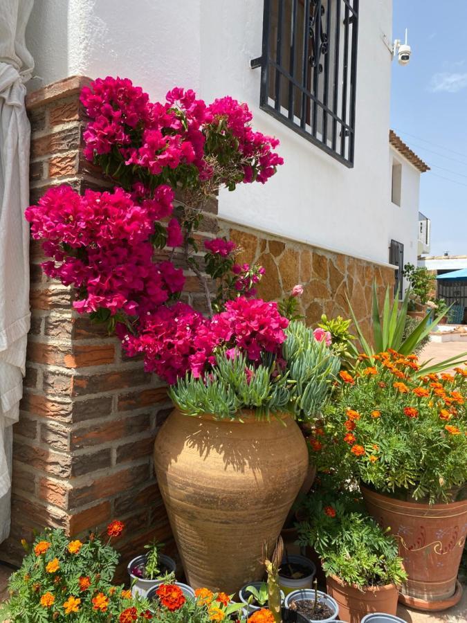 Cortijo Perejil, A Tranquil Mountain Escape & Private Pool Apartman Oria Kültér fotó