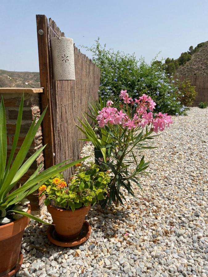 Cortijo Perejil, A Tranquil Mountain Escape & Private Pool Apartman Oria Kültér fotó