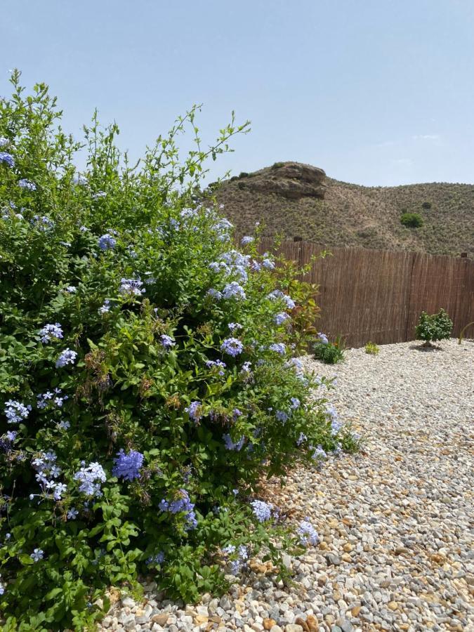 Cortijo Perejil, A Tranquil Mountain Escape & Private Pool Apartman Oria Kültér fotó